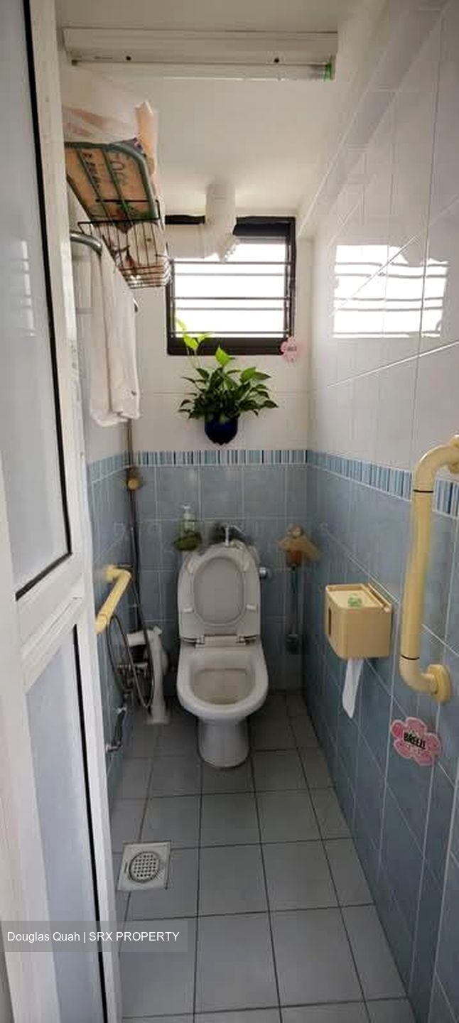 Blk 533 Upper Cross Street (Central Area), HDB 3 Rooms #574533221